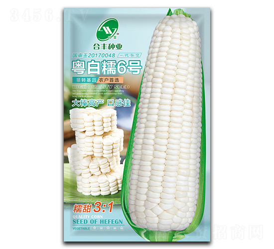 粵白糯6號-玉米種子-合豐種業