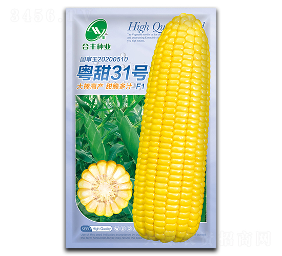 31̖-׷N-SNI