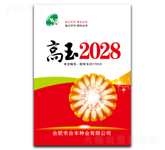 高玉2028-玉米種子-合豐種業