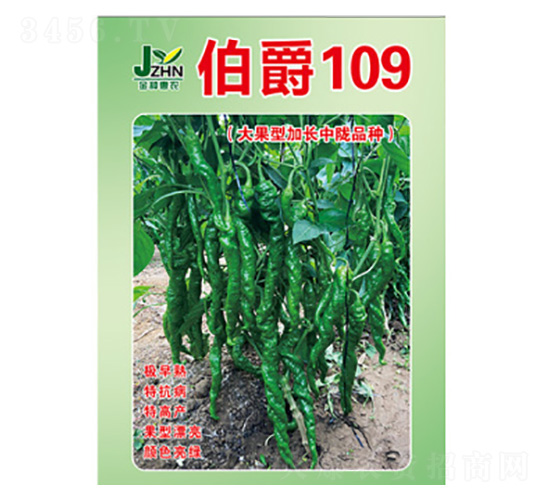 辣椒種子-伯爵109-尚豐農業