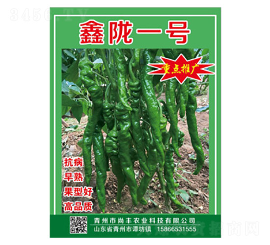 辣椒種子-鑫隴一號-尚豐農業