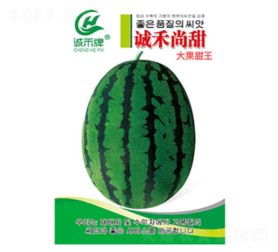 西瓜種子-尚甜-尚豐農業
