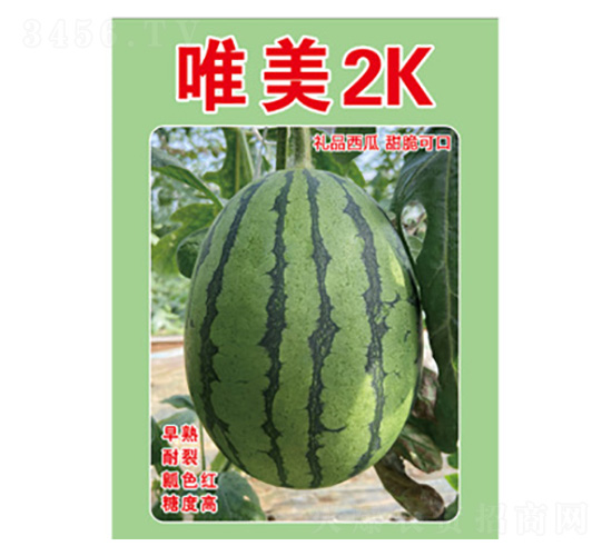 西瓜種子-唯美2K-尚豐農業