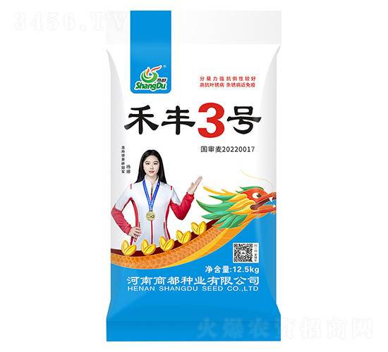 禾豐3號-小麥種子-商都種業