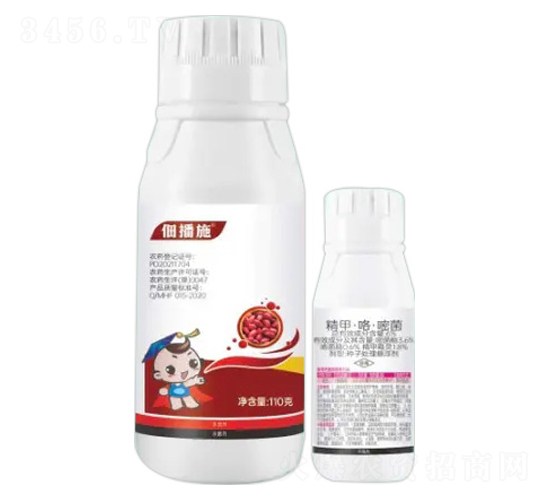 22%咯菌腈·噻蟲胺·噻呋+6%精甲·咯·嘧菌-佃播施-諾倍加農業