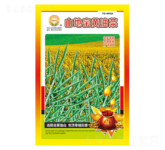 油菜種子-山地寶黃油菜-太樂種業
