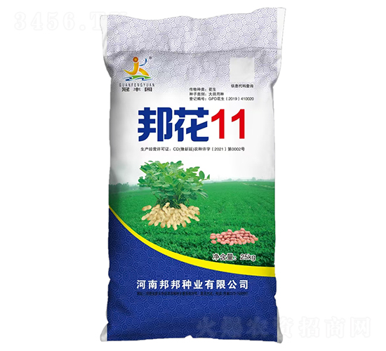 邦花11-冠豐園-邦邦種業
