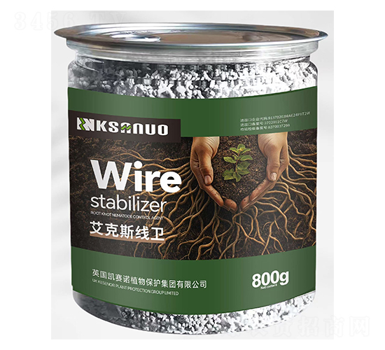 艾克斯線衛-凱賽諾