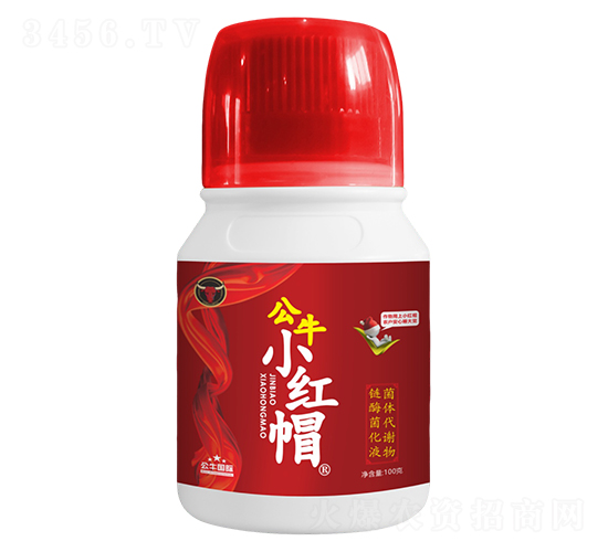 金標(biāo)小紅帽-公牛國際