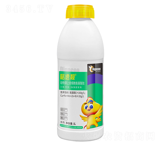 ԴƤ-n-ع