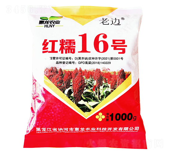 精品高粱種子-紅糯16號-惠龍農業