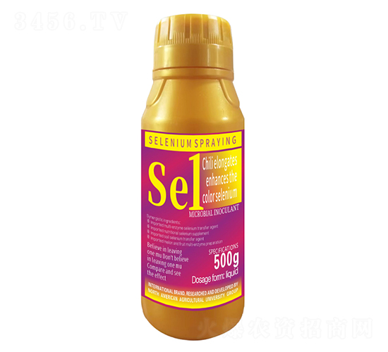 500gLɫ1̖-r