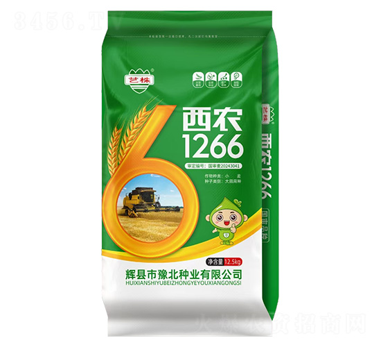 西農1266小麥種子-藝株-豫北種業