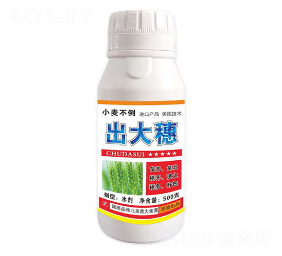 小麥不倒出大穗-北美農大