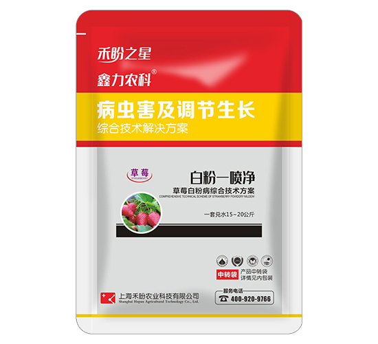 草莓白粉病綜合技術方案-白粉一次清-禾盼之星-禾盼農業