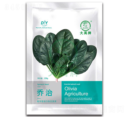 喬治菠菜種子-大禹種業