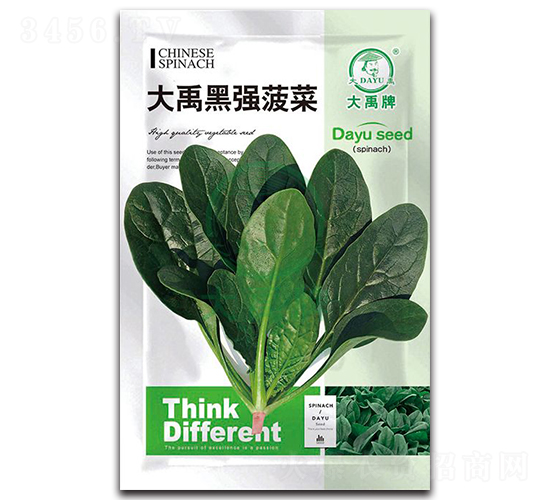 大禹黑強菠菜種子-大禹種業