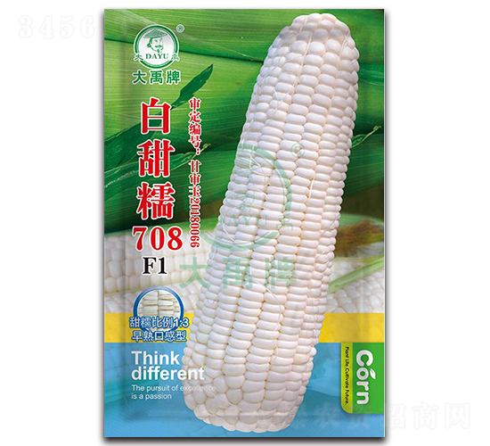 白甜糯708玉米種子-大禹種業