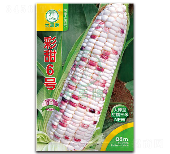 彩甜6號玉米種子-大禹種業