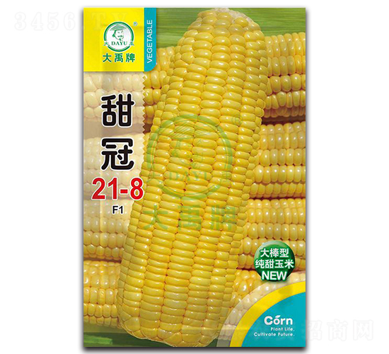 甜冠21-8玉米種子-大禹種業