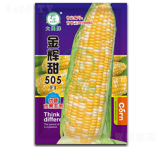 金輝甜505玉米種子-大禹種業