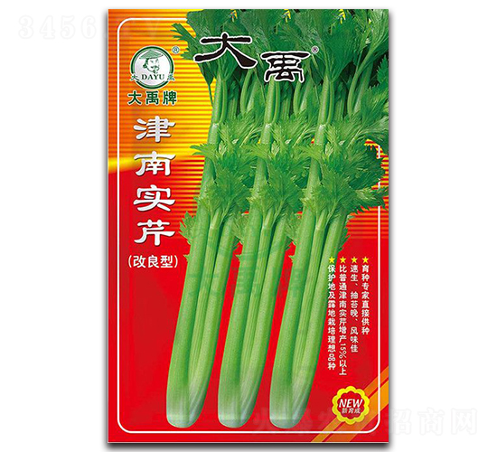 津南實芹-芹菜種子-大禹種業(yè)