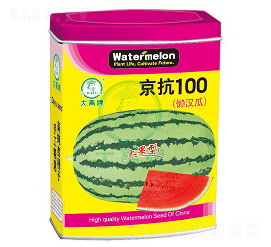 京抗100西瓜種子-大禹種業