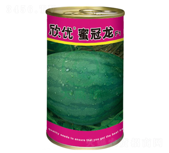 欣優蜜冠龍西瓜種子-大禹種業