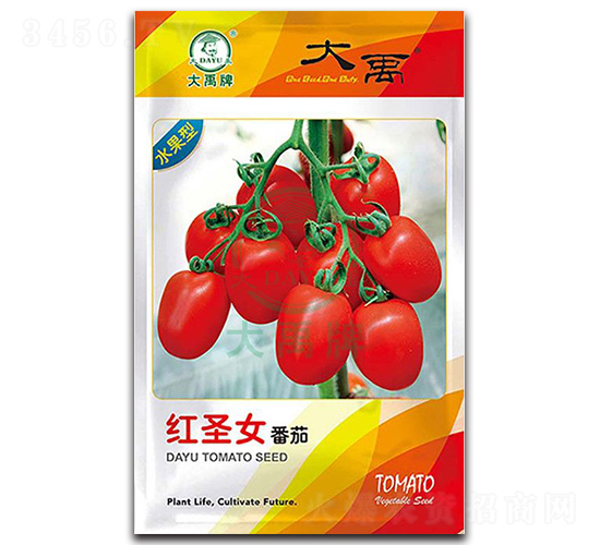 紅圣女番茄種子-大禹種業