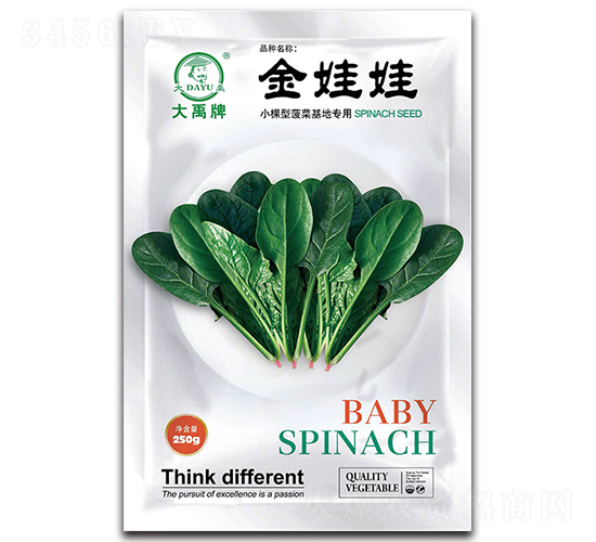 金娃娃菠菜種子-大禹種業