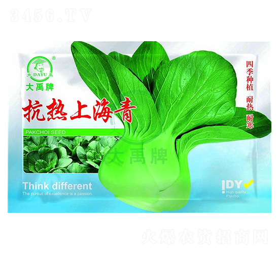 抗熱上海青種子-大禹種業