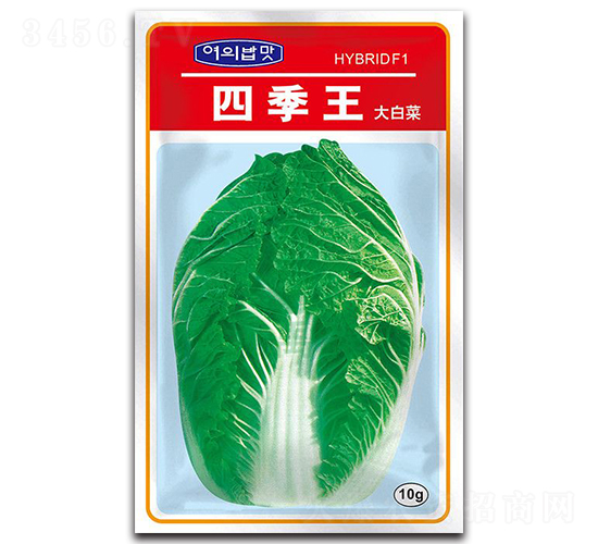 四季王大白菜種子-大禹種業