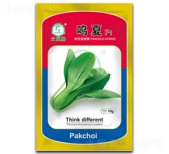 鳴夏大白菜種子-大禹種業(yè)