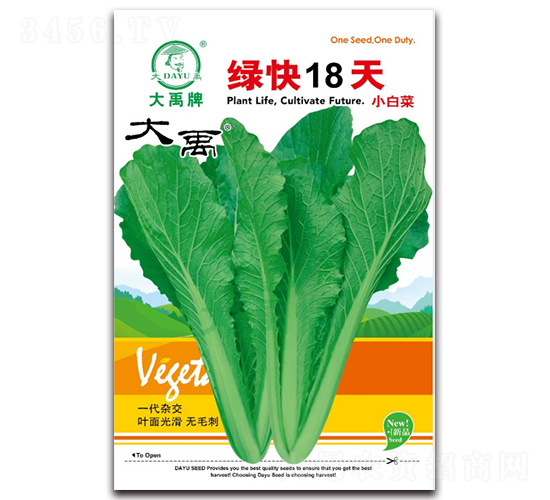 綠快18天小白菜種子-大禹種業