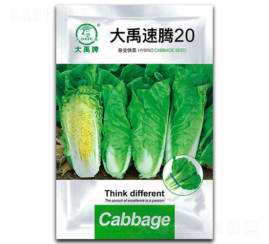 大禹速騰20大白菜種子-大禹種業