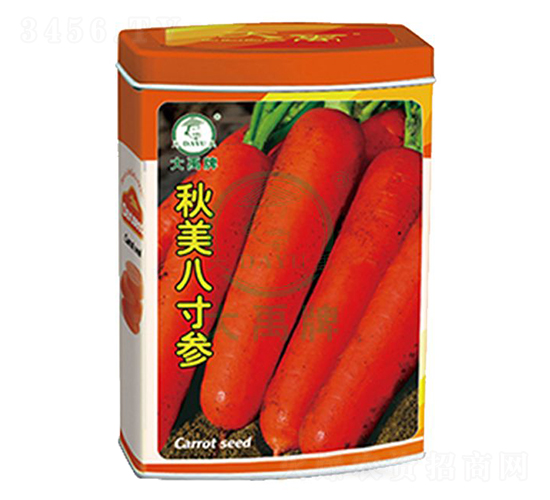 秋美八寸參胡蘿卜種子-大禹種業