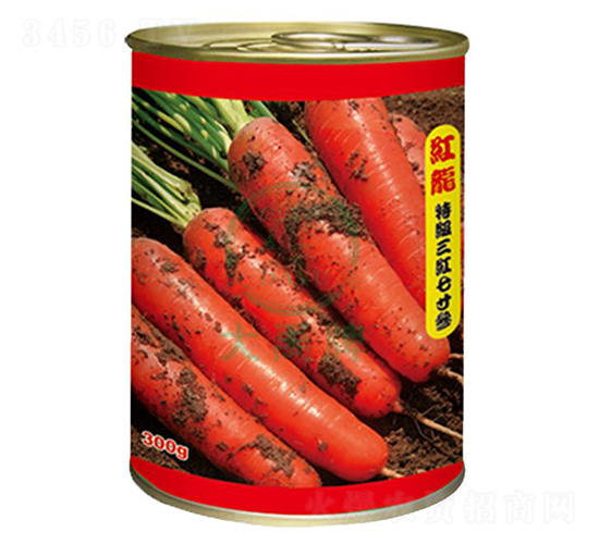 紅龍胡蘿卜種子-大禹種業