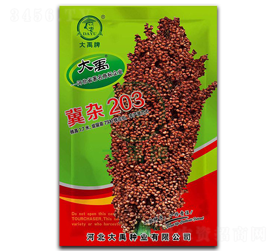 冀雜203高粱種子-大禹種業