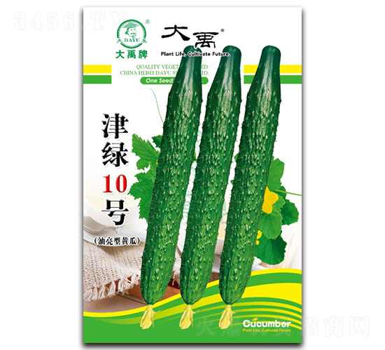 津綠10號(hào)黃瓜種子-大禹種業(yè)
