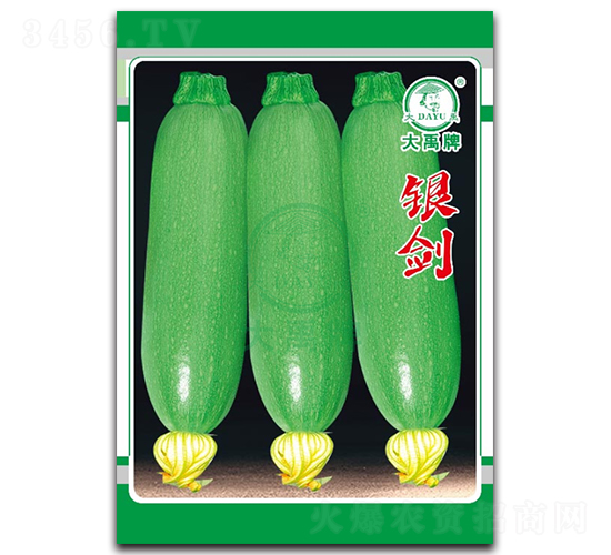 銀劍西葫蘆種子-大禹種業(yè)