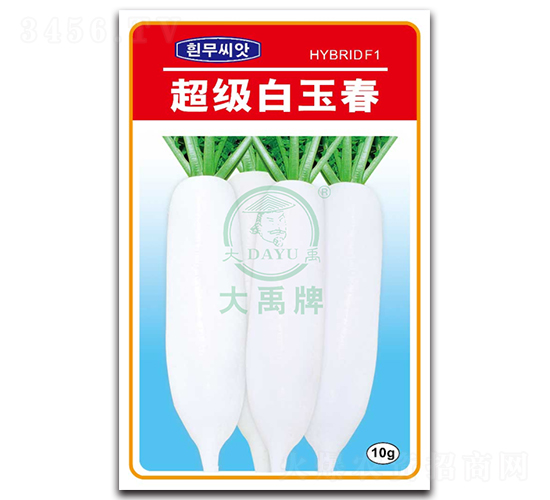 超級白玉春-蘿卜種子-大禹種業