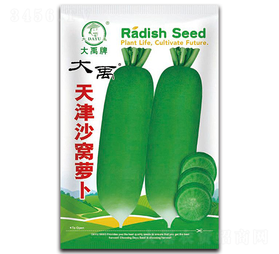 天津沙窩蘿卜種子-大禹種業