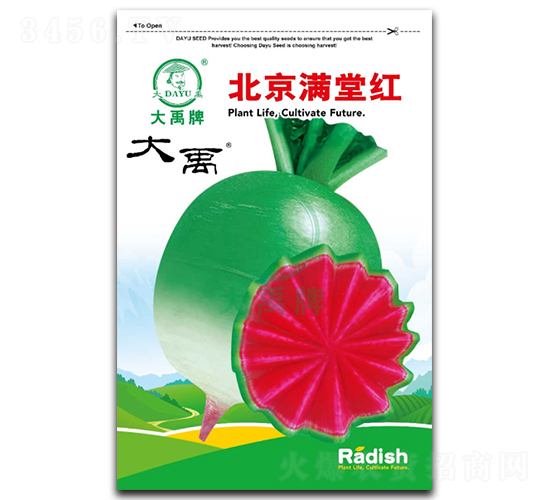 北京滿堂紅蘿卜種子-大禹種業