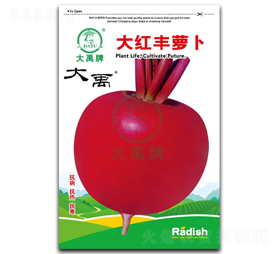大紅豐蘿卜種子-大禹種業
