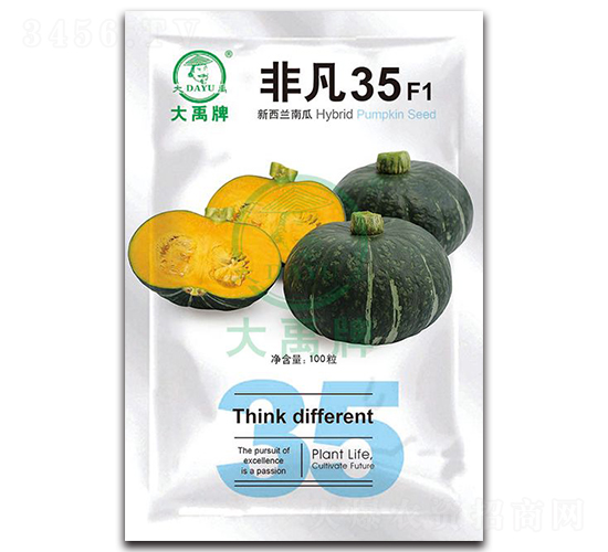 非凡35新西蘭南瓜種子-大禹種業