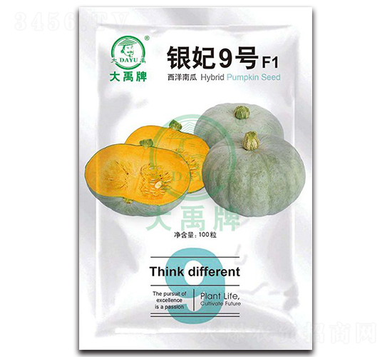 銀妃9號西洋南瓜種子-大禹種業
