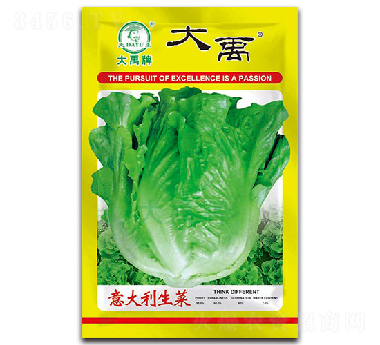 意大利生菜種子-大禹種業