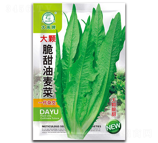 甜脆油麥菜種子-大禹種業(yè)