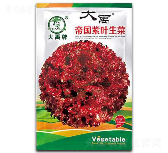 帝國紫葉生菜種子-大禹種業