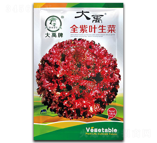 全紫葉生菜種子-大禹種業